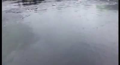 Друзья говорят "Да здесь не глубоко!"