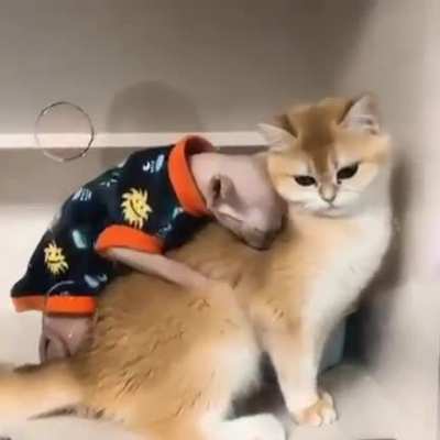 Very uncomfortable