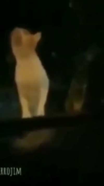 AAAAAAA