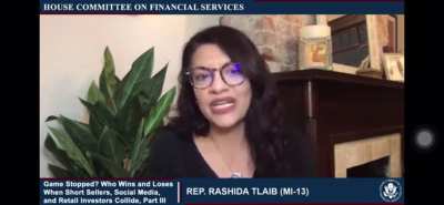 Rep. Rashida Tlaib raises really good points about Citadel as Market Makers. She definitely doesn&rsquo;t take their shit