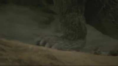 [Old thing I made] Godzilla&rsquo;s on his way to steal your girl