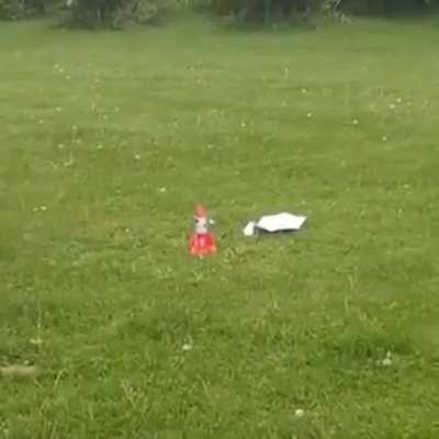 Kid saves chonk from rocket