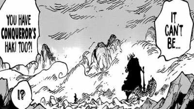 Zoro fans be like: