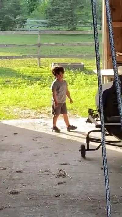 3 year old VS. a bee
