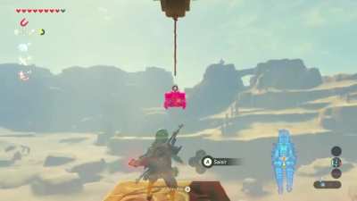 Nicely done (Zelda: Breath of The Wild)