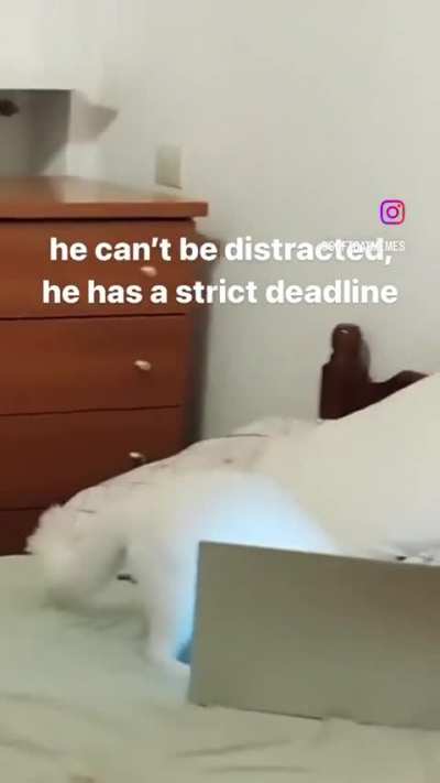 Wunkus has to meet his quota or HE&rsquo;S FIRED!!