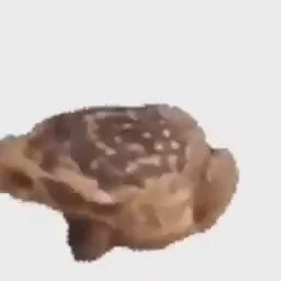 I bet you won&rsquo;t watch the whole 2 minutes this video has