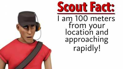 scout fact