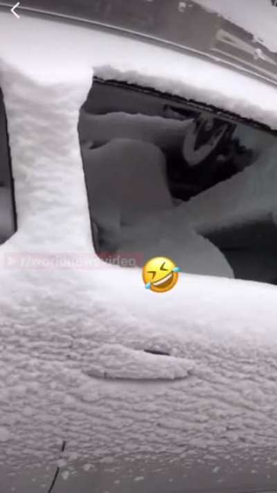 Not sure what the owner was thinking