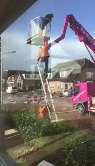 WCGW climbing down a ladder