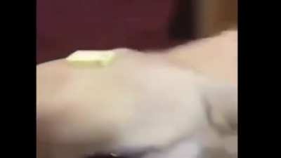 butter dog