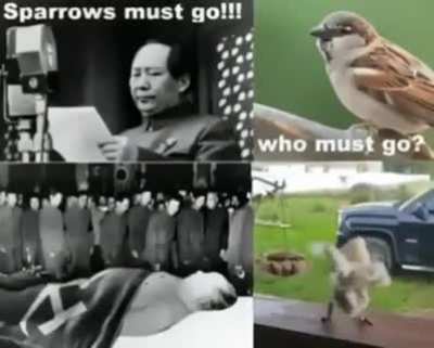 Who must go?