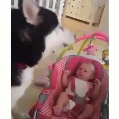 Че ревёшь?