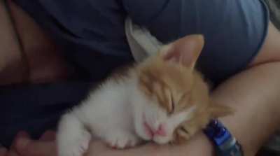Awwww!