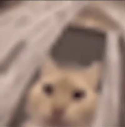 Fucking drop dead