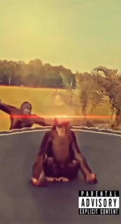 monke ascending