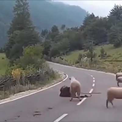 Wait for it...