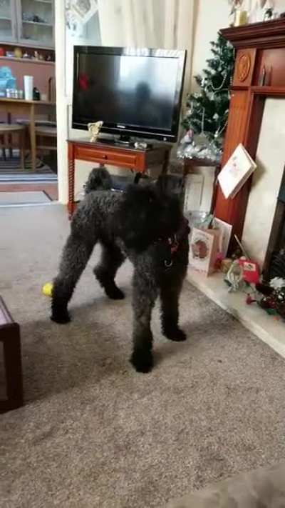 And he STRIKES
