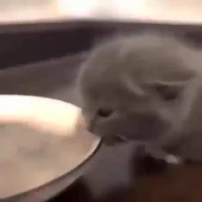 😎