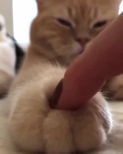 Fluffy bread