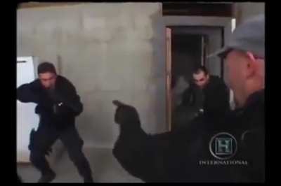 Insurrectoinsts attempting to fight the UNSC