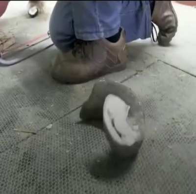 Saving a pony that was left behind
