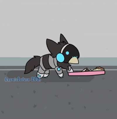 Taco🌮