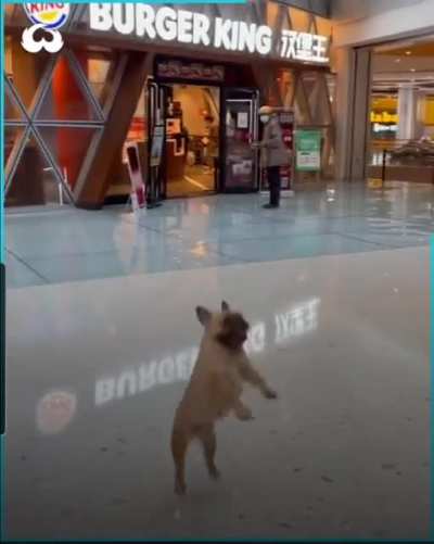 Some mall fun