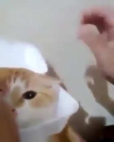 &amp;lt;