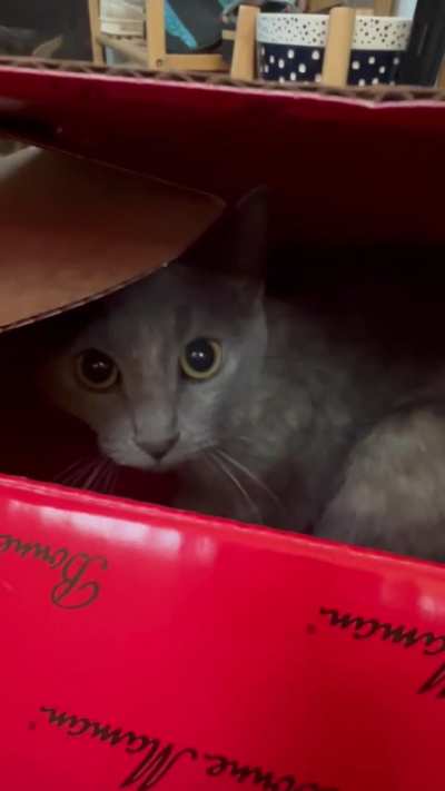Battle for the box!