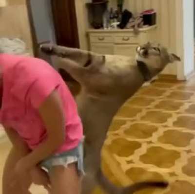 She's Gonna Git Cha!