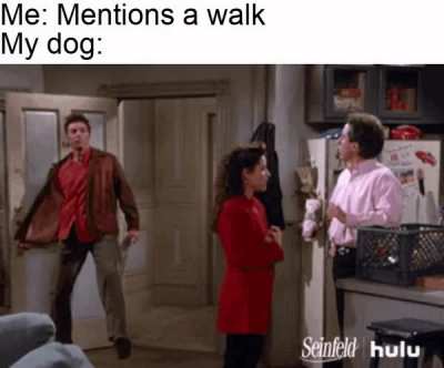 dogs are the best