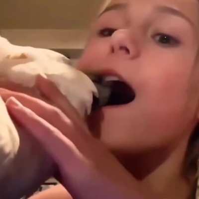 Dentist