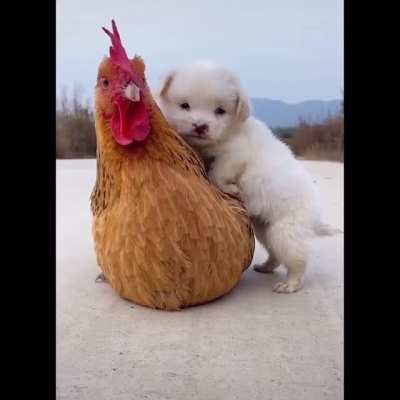 Best friends