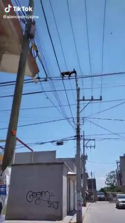 México Surreal country