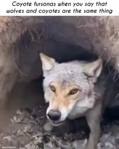 Different_irl