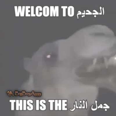 [OC] BOOBA HARAM اتستري يا شرموطه