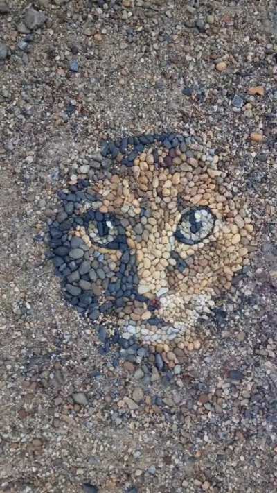 Pebble Picasso..