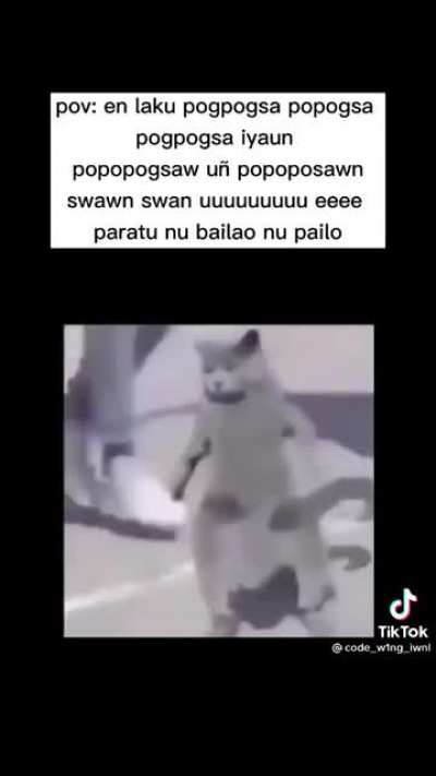 Pov: en laku pogpogsa
