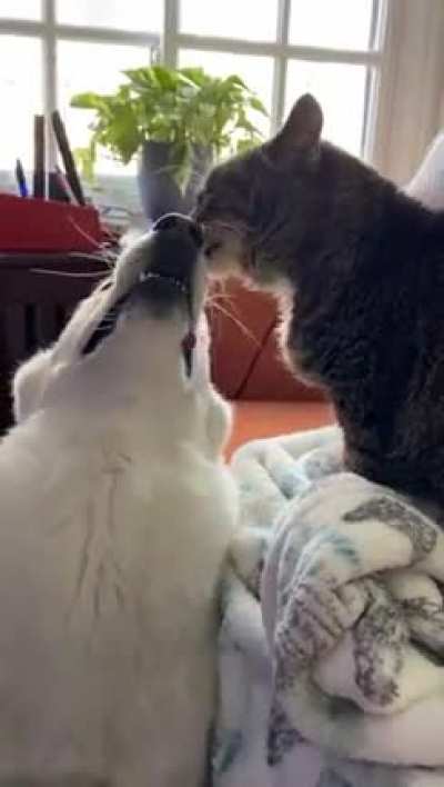 Yes, yes, that&rsquo;s the spot!
