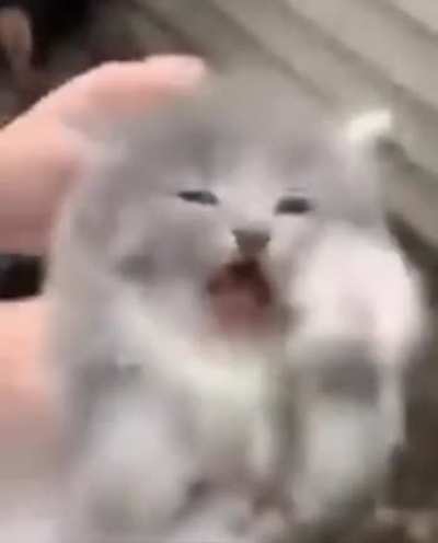 Hes not happy