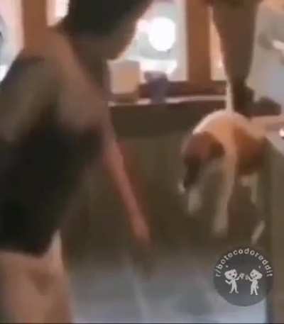 🐶 🚙 