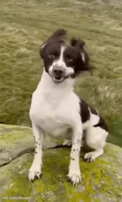 Doesn't matter, still on a walk