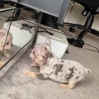 Touch tha Mirror