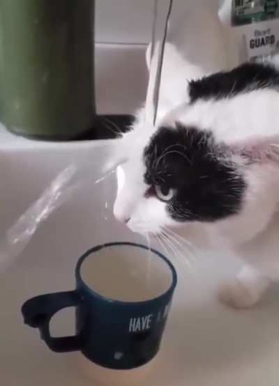 fresh is best
