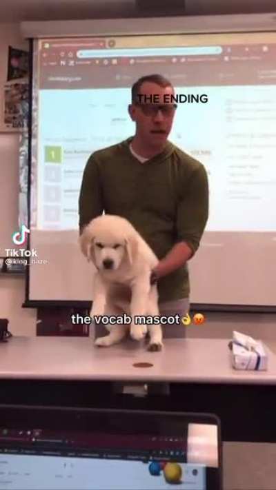 Aaaaa