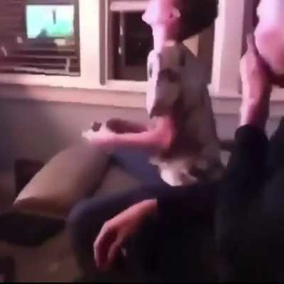Just let the kid game