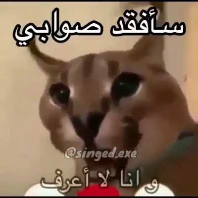 Ajmed