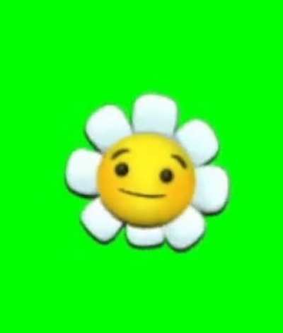 Made a green screen gif of the loading flower. Use it if you want