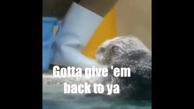Inspector Otter
